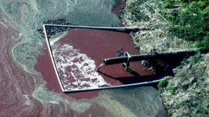 Toxic hog waste is pumped into open lagoons and sprayed into neighboring communities in North Carolina.